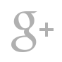 Grey Google Plus logo
