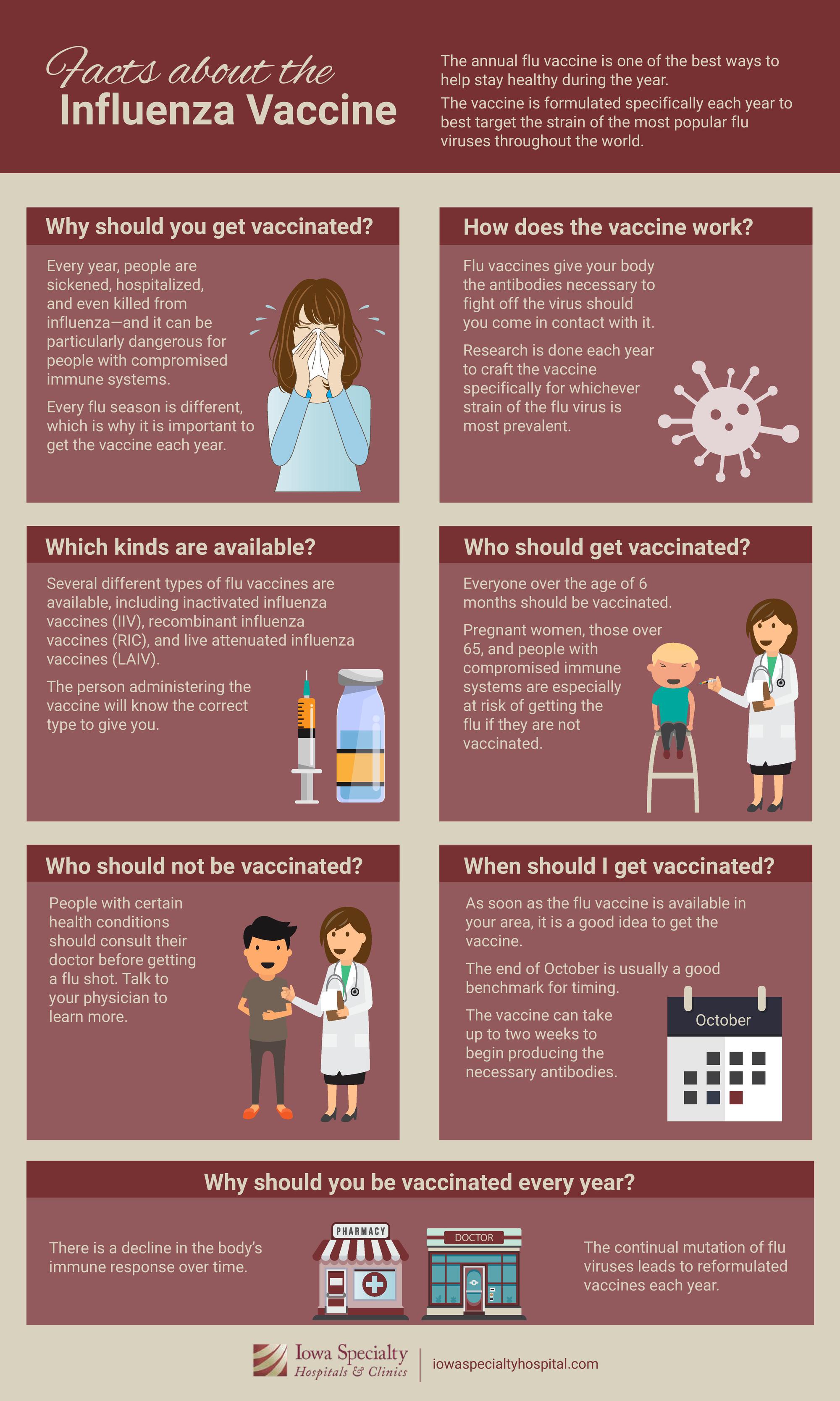 Facts about the influenza vaccine infographic